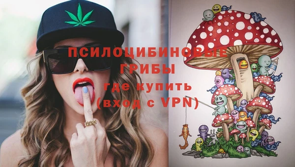 соль курить ск Алзамай