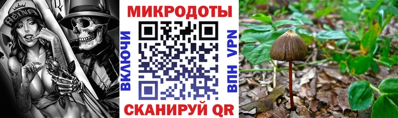 Псилоцибиновые грибы прущие грибы  Чусовой 