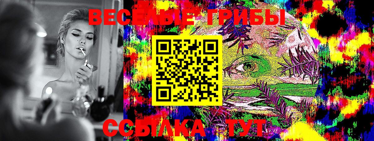 Псилоцибиновые грибы Psilocybine cubensis  как найти закладки  Псилоцибиновые грибы Psilocybine cubensis  Чусовой  Вход с VPN 