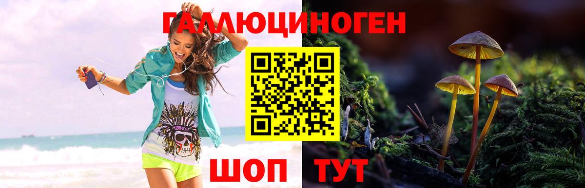 Галлюциногенные грибы MAGIC MUSHROOMS Чусовой